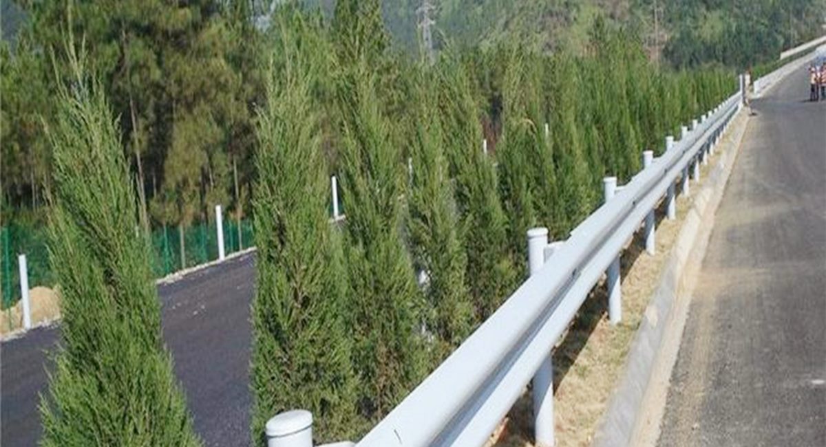 波形護(hù)欄板、鄉(xiāng)村道路護(hù)欄、單波護(hù)欄板世騰加工定制